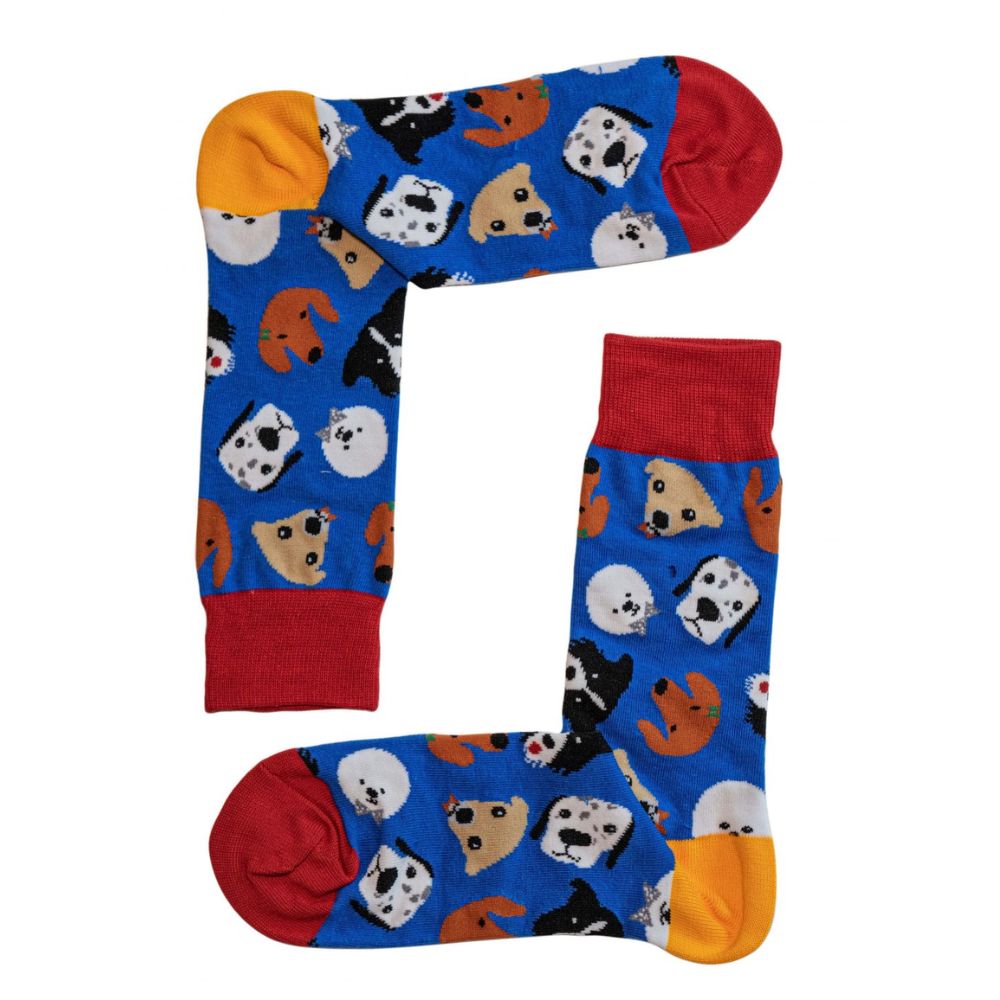 Dog Party Socks size 6-11